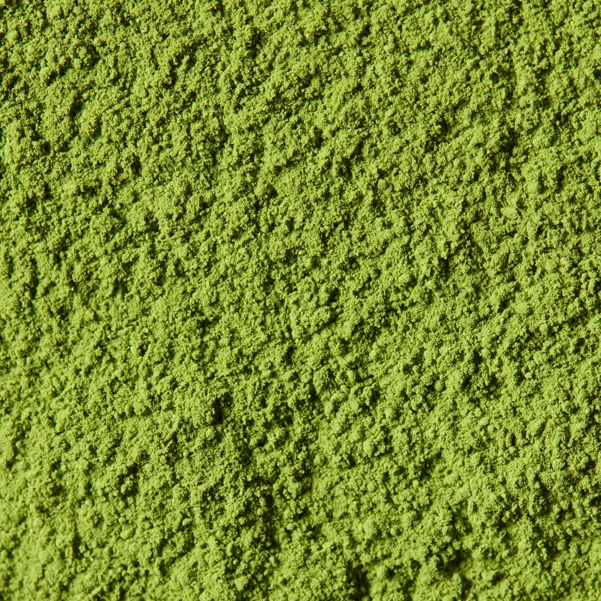 Goun no Shiro | Kanbayashi Shunsho (40g tin, Ceremonial-Grade)