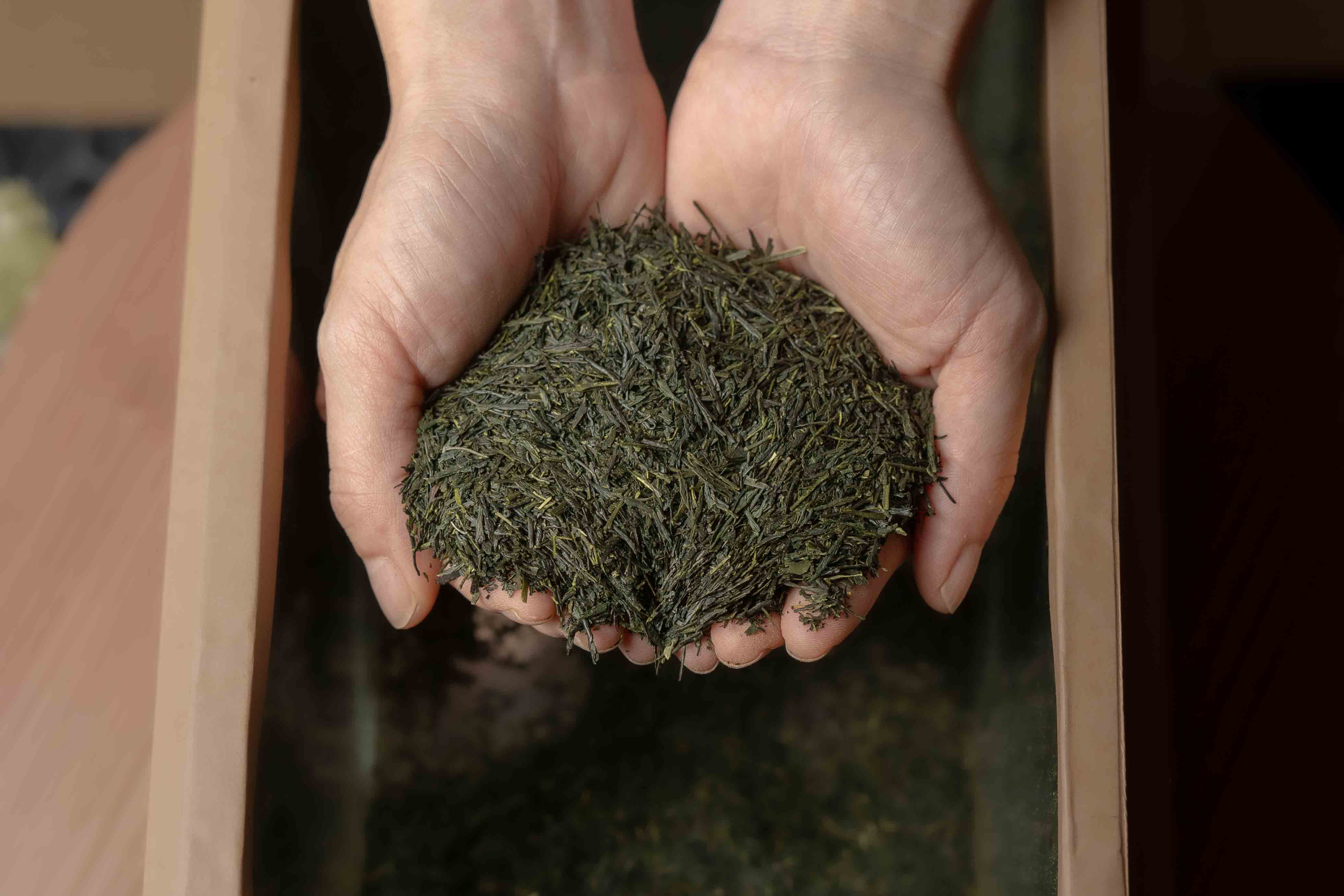 Organic Gyokuro 1kg – Simply Native Global Market