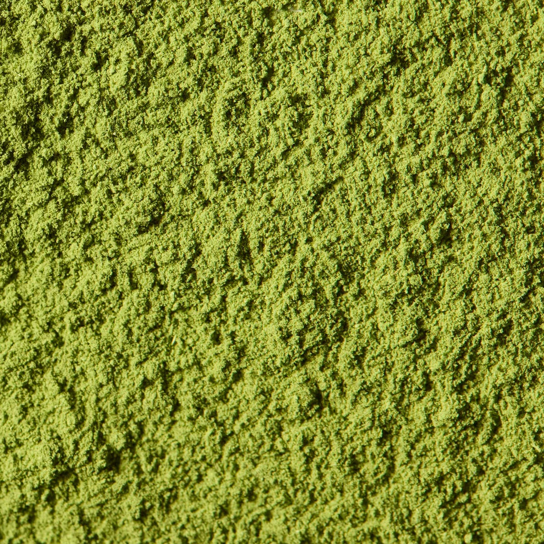 Matsu no Shiro | Kanbayashi Shunsho (40g tin, Ceremonial-Grade)