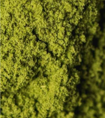 Matcha for Baking (Culinary B) 1kg