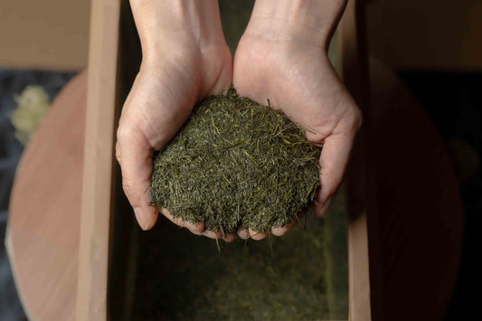 Organic Fukamushi Sencha 1kg