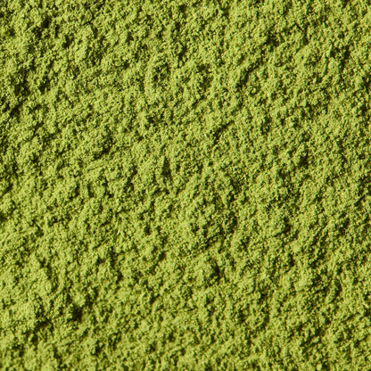 Matsu no Shiro | Kanbayashi Shunsho (40g tin, Ceremonial-Grade)