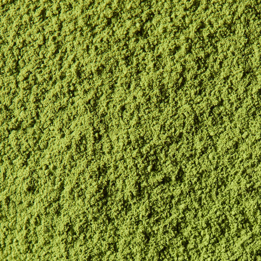 Matcha Rindo 1kg | Marukyu Koyamaen