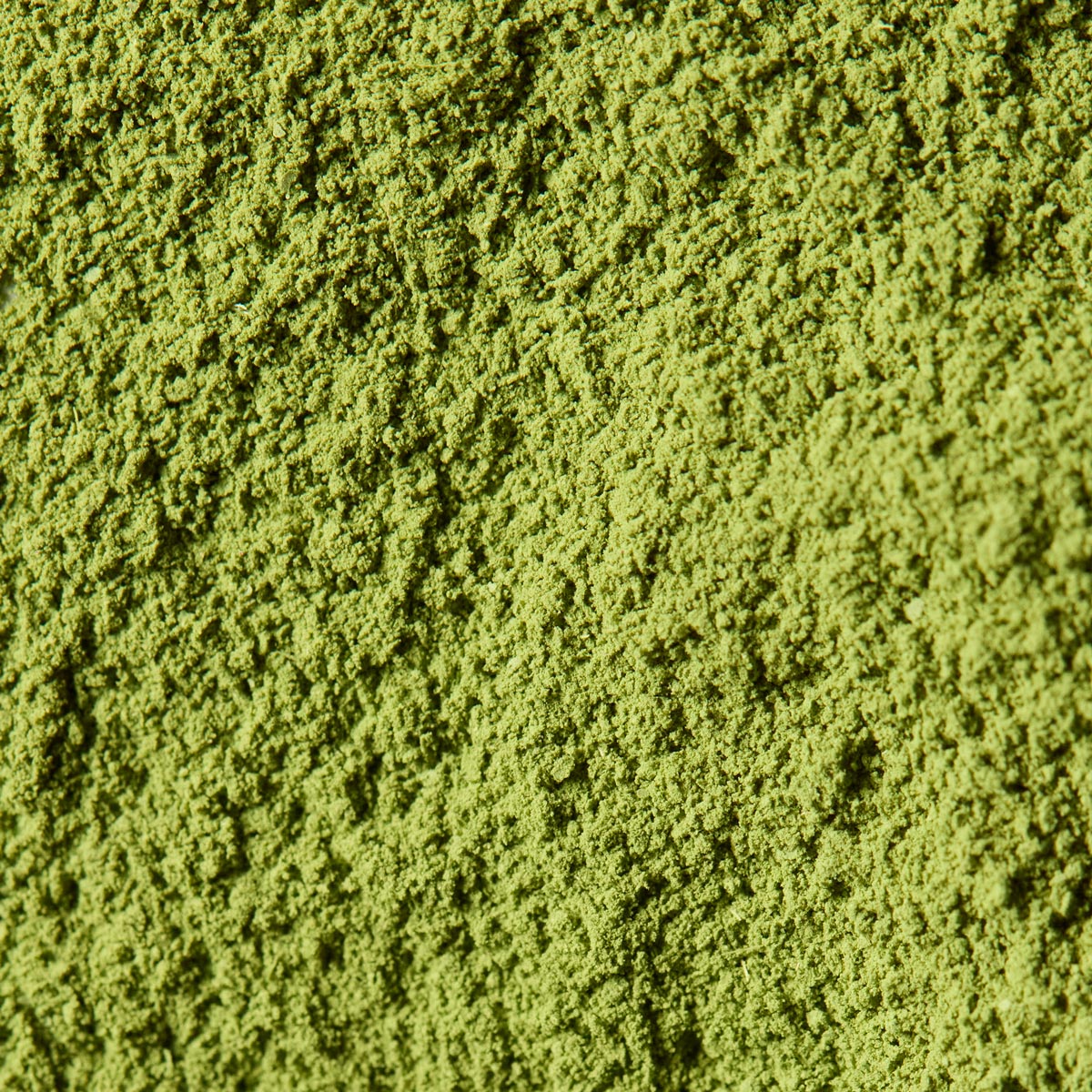 Matcha for Latte Use - Sakura