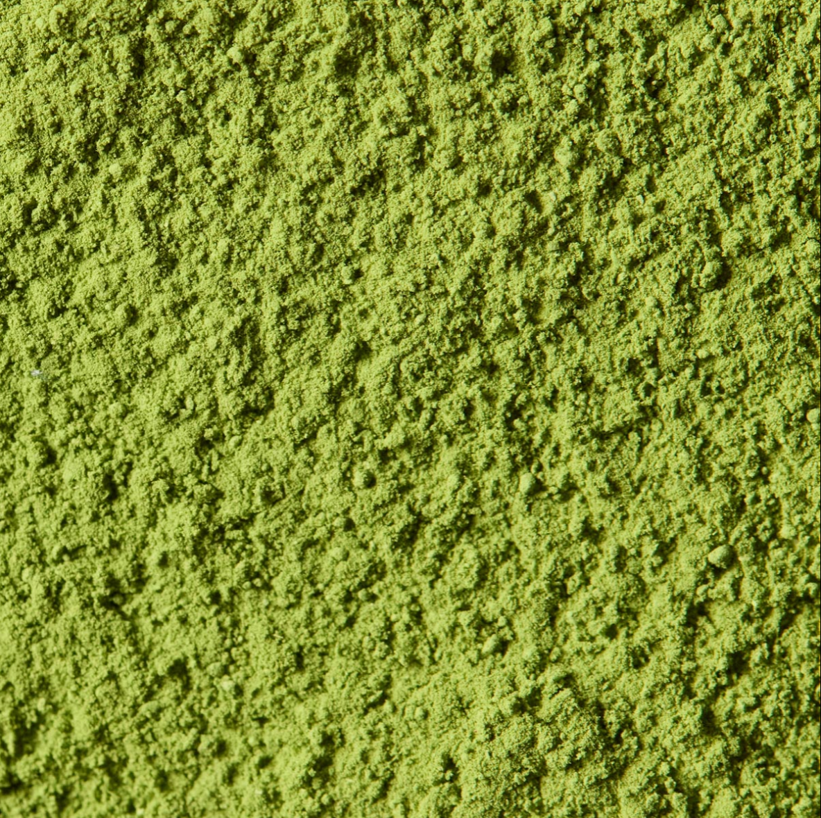 Aoarashi | Marukyu Koyamaen (100g bag, Ceremonial-Grade)