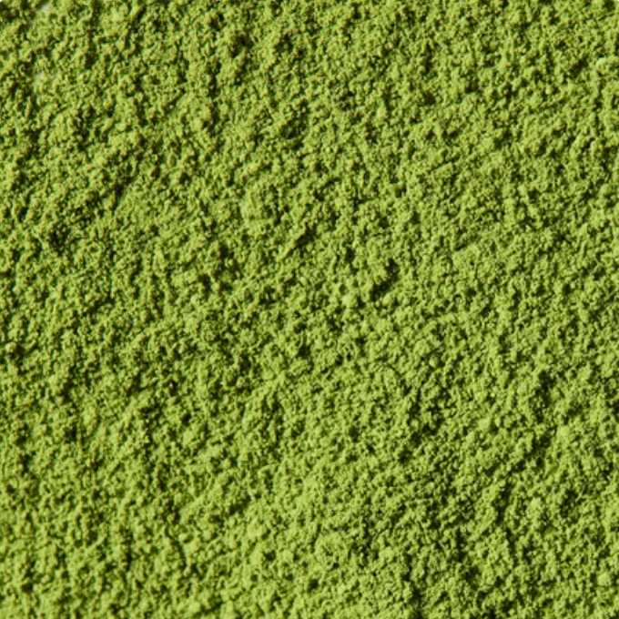 Isuzu | Marukyu Koyamaen (40g tin, Ceremonial-Grade)