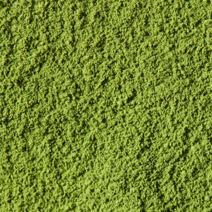 Isuzu | Marukyu Koyamaen (40g tin, Ceremonial-Grade)