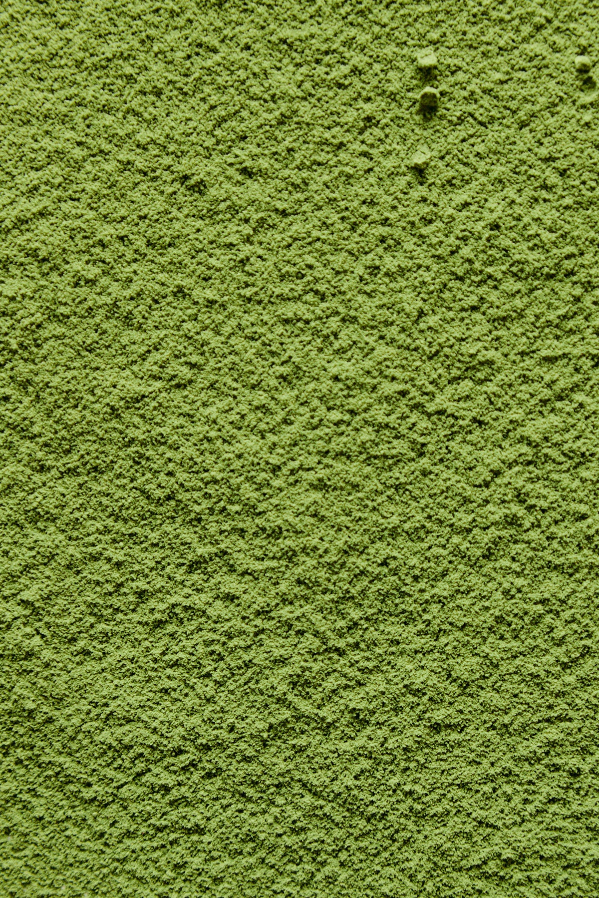 Matcha Latte - 心 Shin 1kg