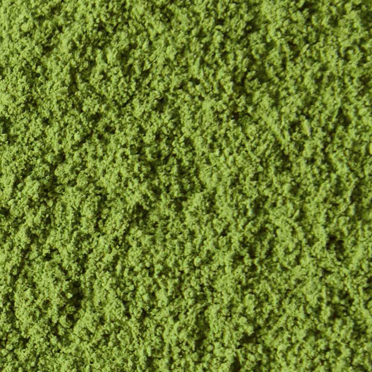 Matcha Ayame 1kg | Marukyu Koyamaen