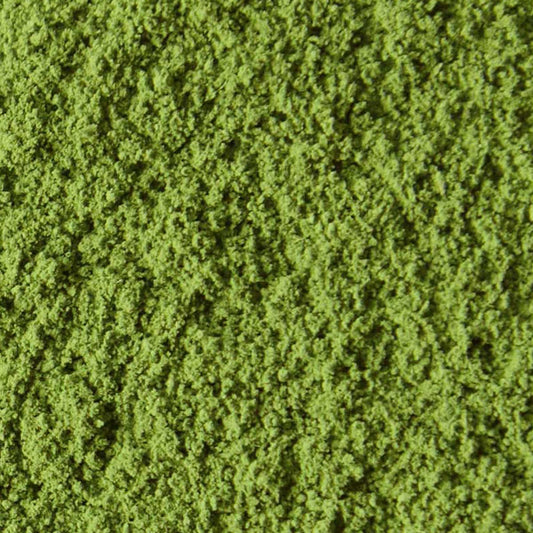 Matcha Ayame 1kg | Marukyu Koyamaen