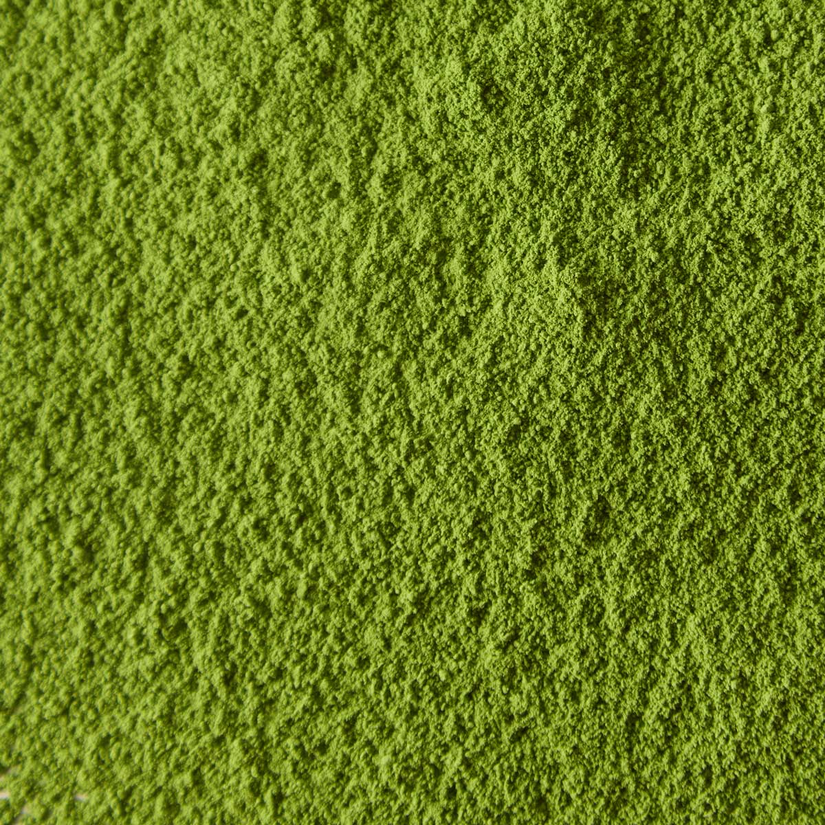 Matcha Latte - For Professionals 500g