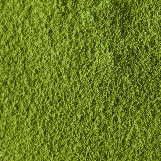 Matcha for Professionals 500g