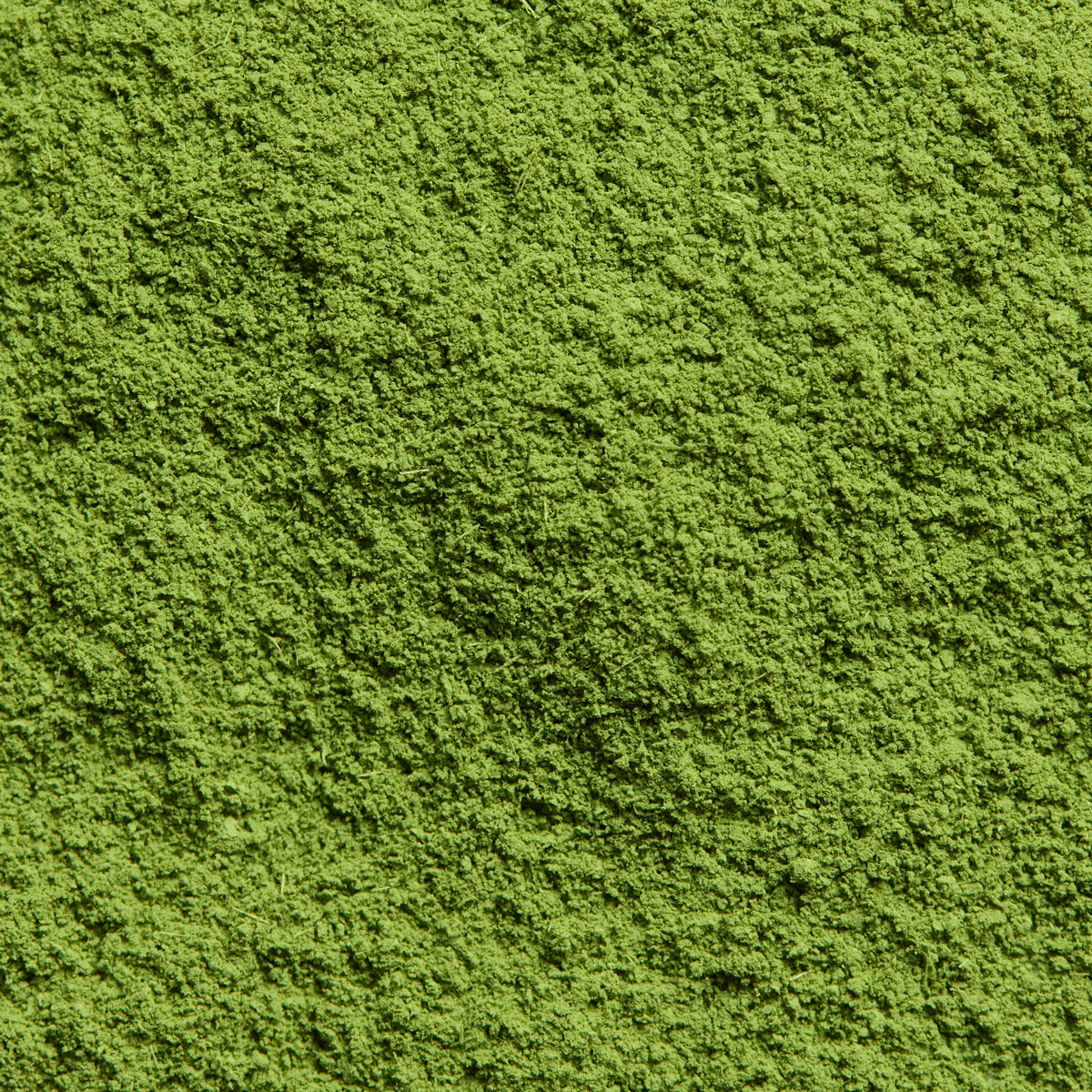 Matcha for Latte Use - Tsubaki