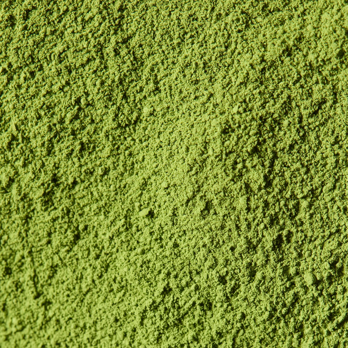 *** Exclusive to Ngle Cafe *** Matcha Wakatake 1kg | Marukyu Koyamaen